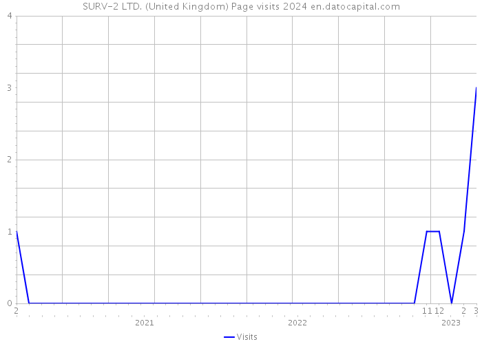 SURV-2 LTD. (United Kingdom) Page visits 2024 
