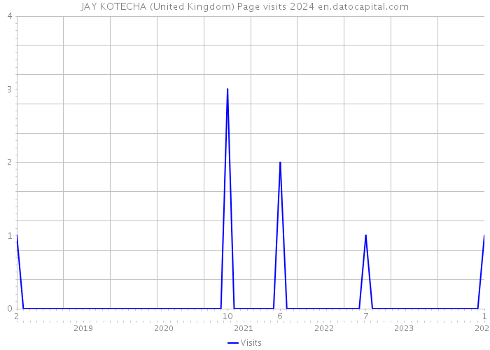 JAY KOTECHA (United Kingdom) Page visits 2024 