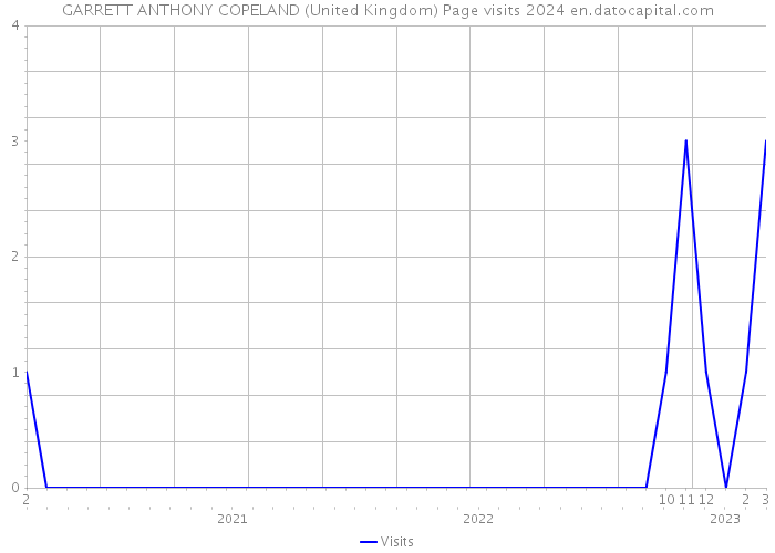 GARRETT ANTHONY COPELAND (United Kingdom) Page visits 2024 