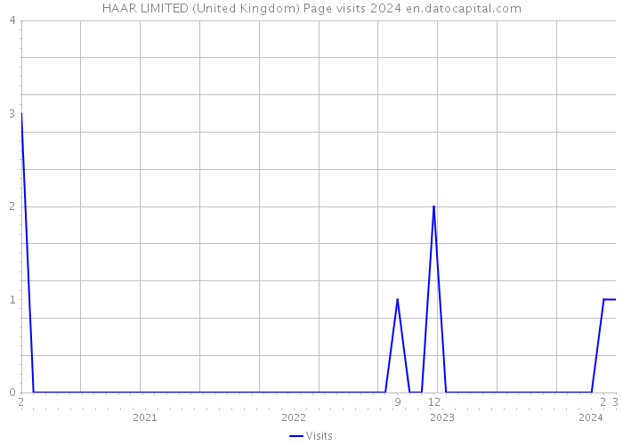 HAAR LIMITED (United Kingdom) Page visits 2024 