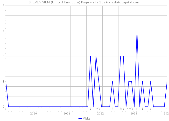 STEVEN SIEM (United Kingdom) Page visits 2024 