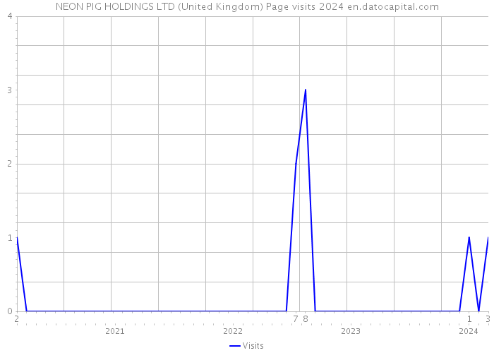 NEON PIG HOLDINGS LTD (United Kingdom) Page visits 2024 