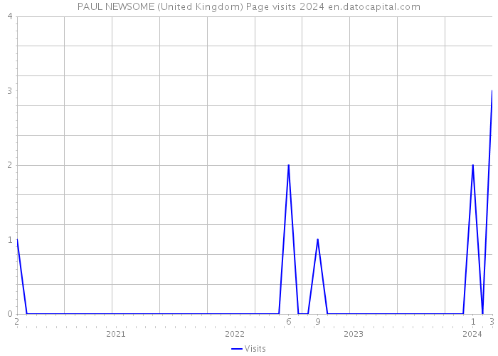 PAUL NEWSOME (United Kingdom) Page visits 2024 