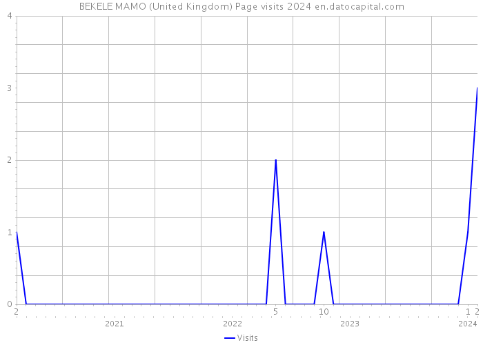BEKELE MAMO (United Kingdom) Page visits 2024 
