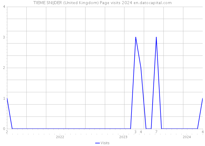 TIEME SNIJDER (United Kingdom) Page visits 2024 