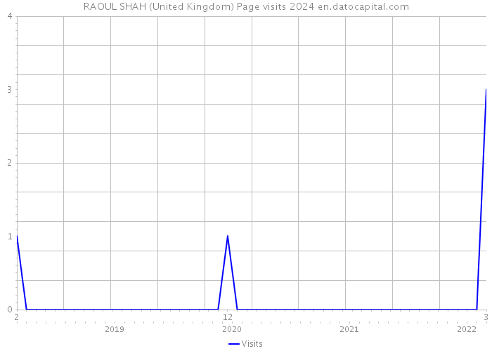 RAOUL SHAH (United Kingdom) Page visits 2024 