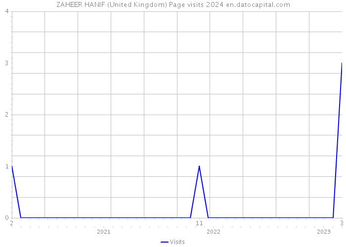ZAHEER HANIF (United Kingdom) Page visits 2024 