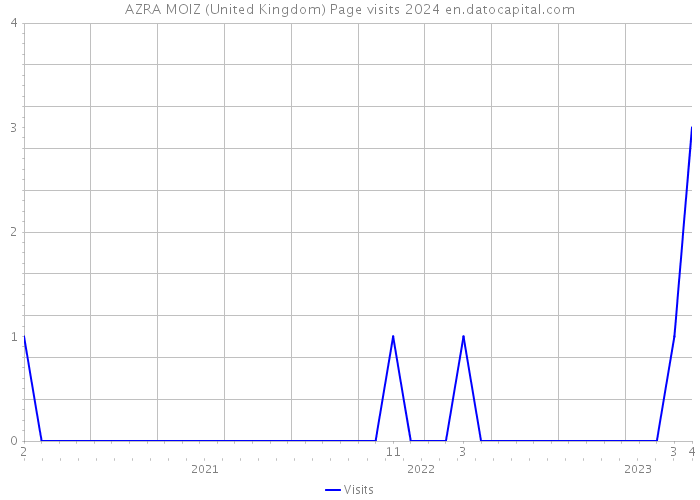AZRA MOIZ (United Kingdom) Page visits 2024 