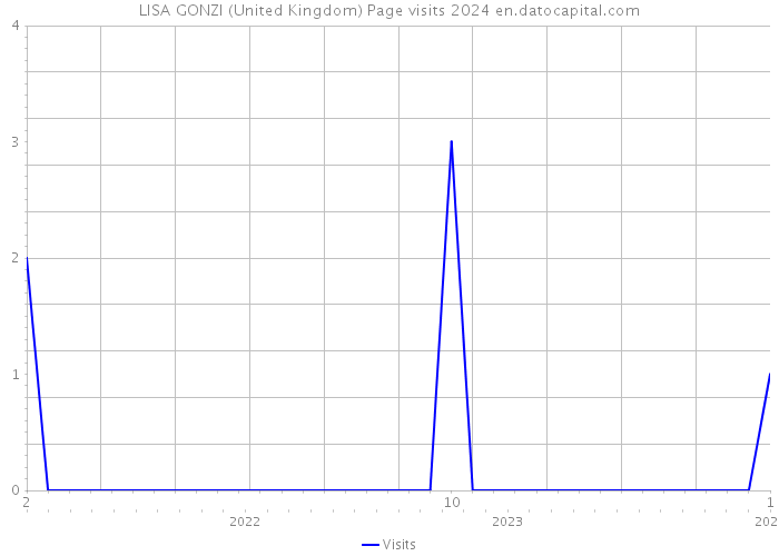 LISA GONZI (United Kingdom) Page visits 2024 