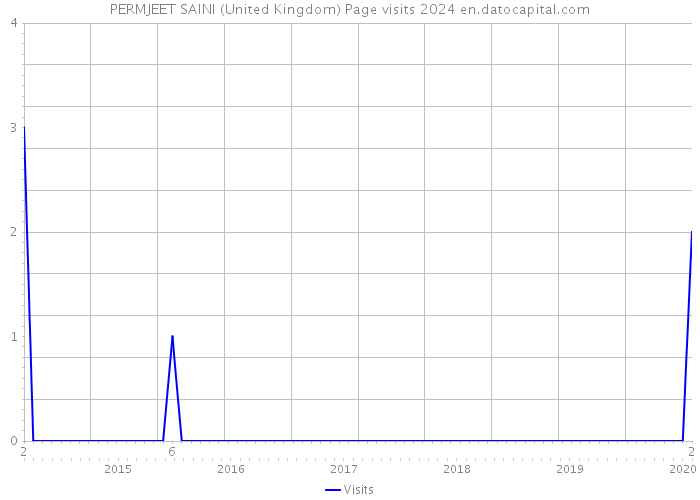 PERMJEET SAINI (United Kingdom) Page visits 2024 