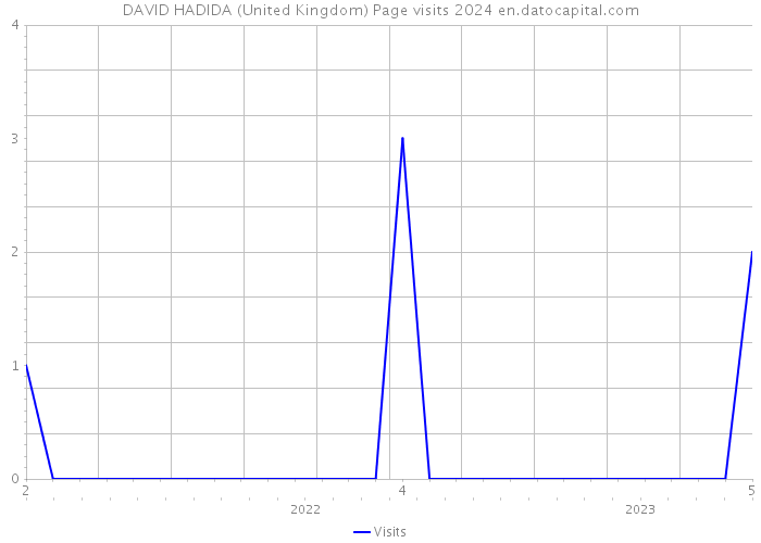 DAVID HADIDA (United Kingdom) Page visits 2024 