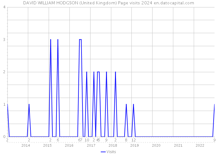 DAVID WILLIAM HODGSON (United Kingdom) Page visits 2024 