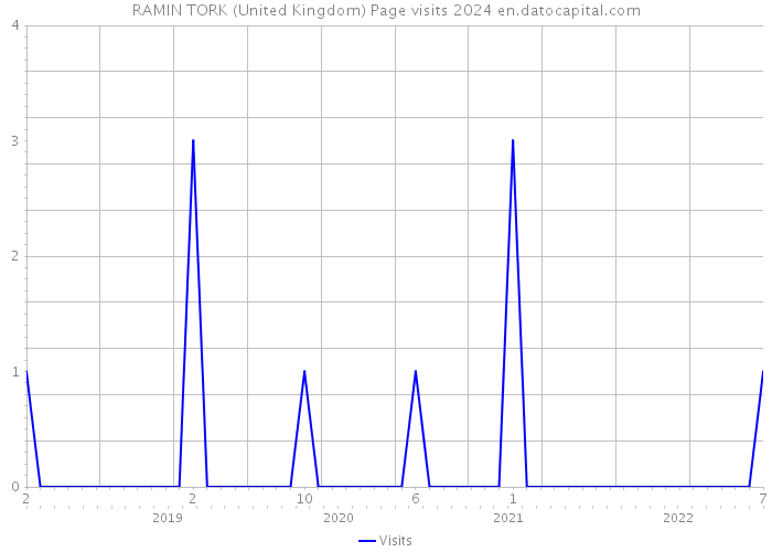 RAMIN TORK (United Kingdom) Page visits 2024 