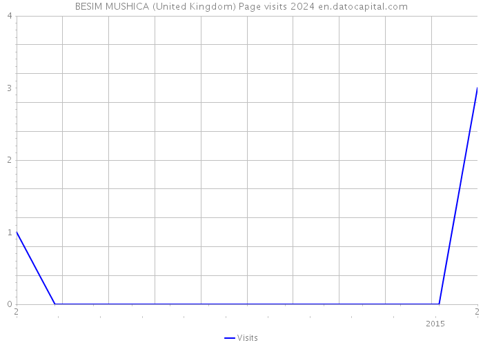 BESIM MUSHICA (United Kingdom) Page visits 2024 