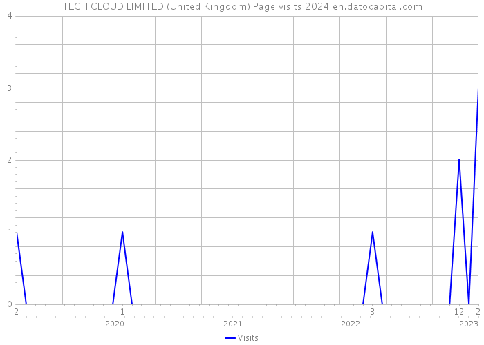 TECH CLOUD LIMITED (United Kingdom) Page visits 2024 