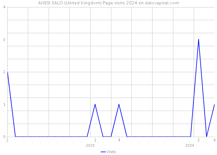 ANSSI SALO (United Kingdom) Page visits 2024 