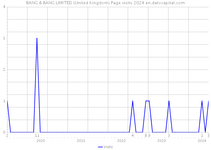 BANG & BANG LIMITED (United Kingdom) Page visits 2024 