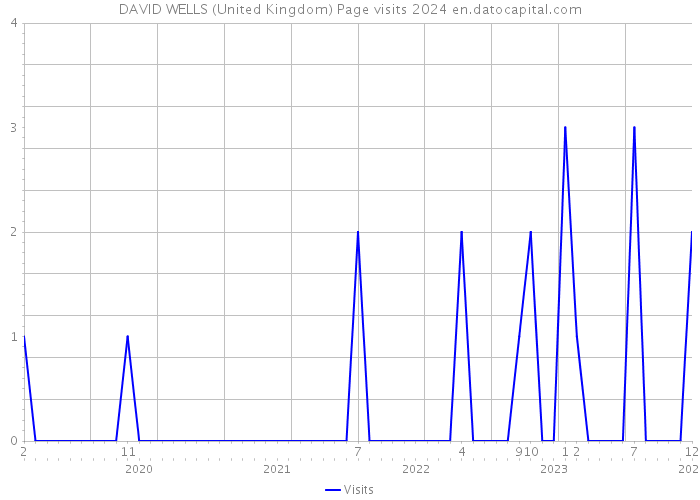 DAVID WELLS (United Kingdom) Page visits 2024 