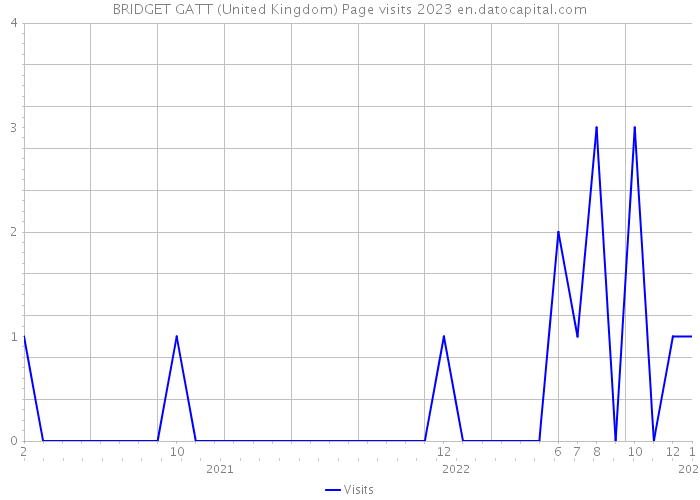 BRIDGET GATT (United Kingdom) Page visits 2023 