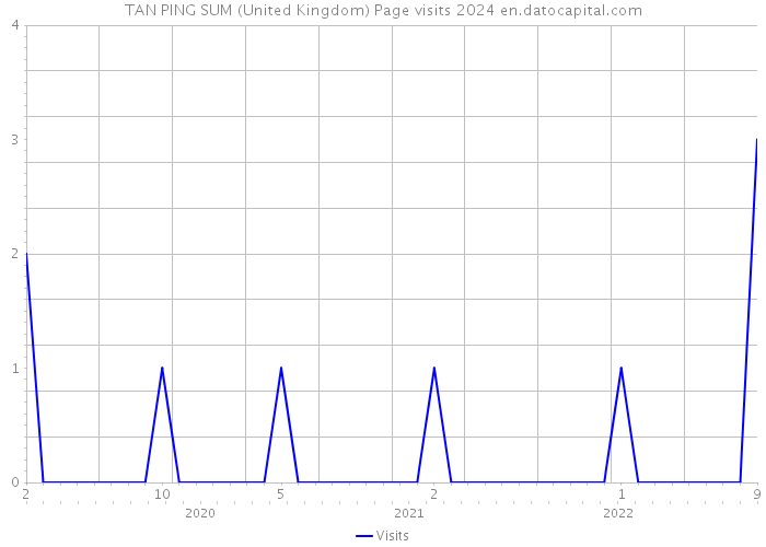 TAN PING SUM (United Kingdom) Page visits 2024 