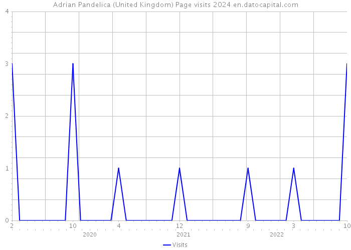 Adrian Pandelica (United Kingdom) Page visits 2024 