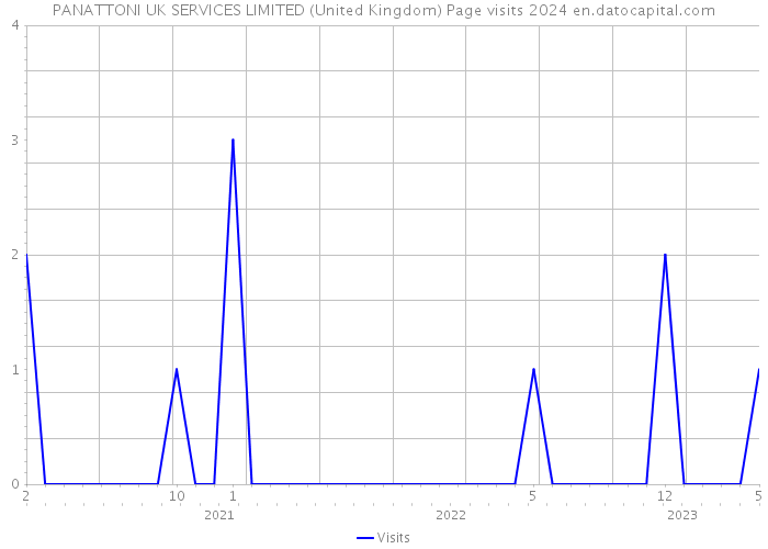 PANATTONI UK SERVICES LIMITED (United Kingdom) Page visits 2024 