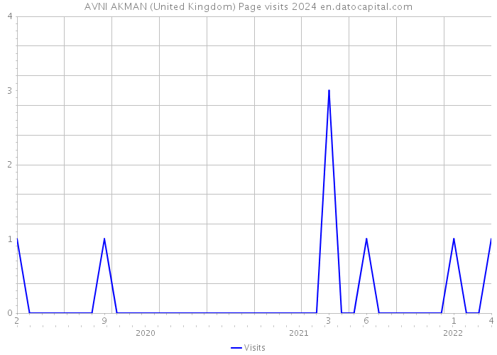 AVNI AKMAN (United Kingdom) Page visits 2024 
