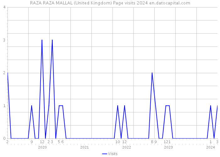 RAZA RAZA MALLAL (United Kingdom) Page visits 2024 
