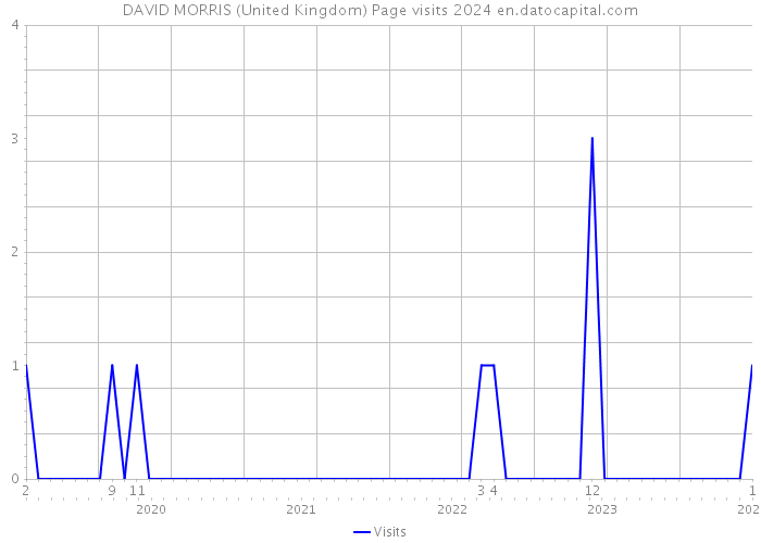 DAVID MORRIS (United Kingdom) Page visits 2024 