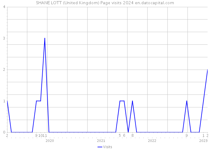 SHANE LOTT (United Kingdom) Page visits 2024 