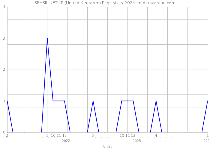 BRASIL NET LP (United Kingdom) Page visits 2024 
