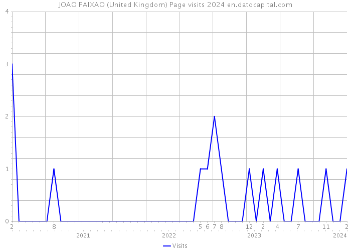 JOAO PAIXAO (United Kingdom) Page visits 2024 