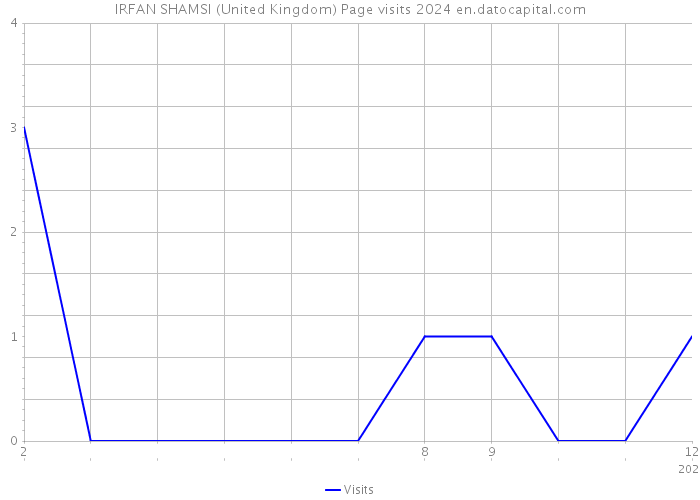 IRFAN SHAMSI (United Kingdom) Page visits 2024 