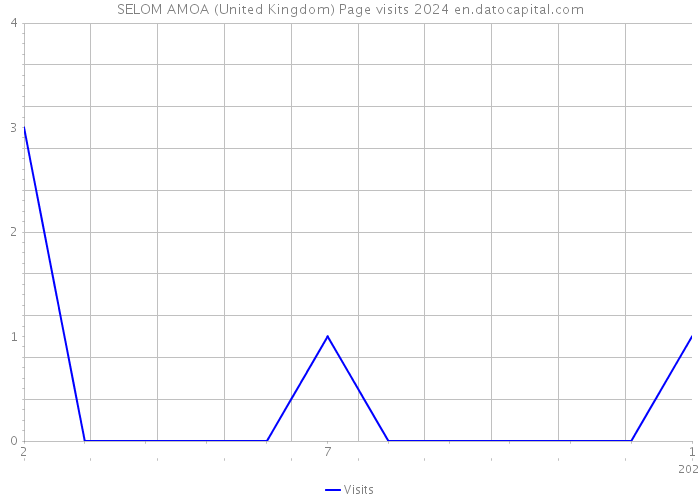 SELOM AMOA (United Kingdom) Page visits 2024 