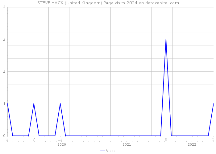 STEVE HACK (United Kingdom) Page visits 2024 
