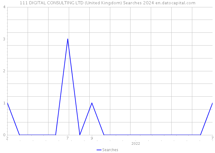 111 DIGITAL CONSULTING LTD (United Kingdom) Searches 2024 