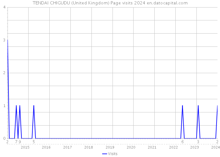 TENDAI CHIGUDU (United Kingdom) Page visits 2024 