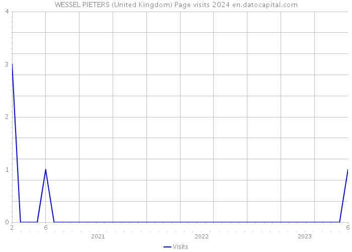 WESSEL PIETERS (United Kingdom) Page visits 2024 