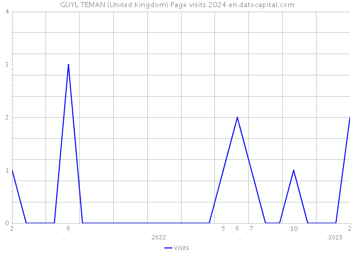 GUYL TEMAN (United Kingdom) Page visits 2024 