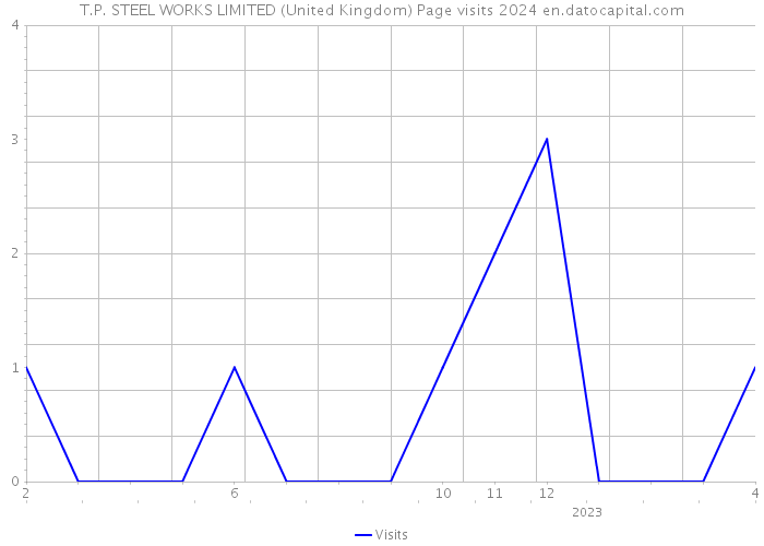 T.P. STEEL WORKS LIMITED (United Kingdom) Page visits 2024 