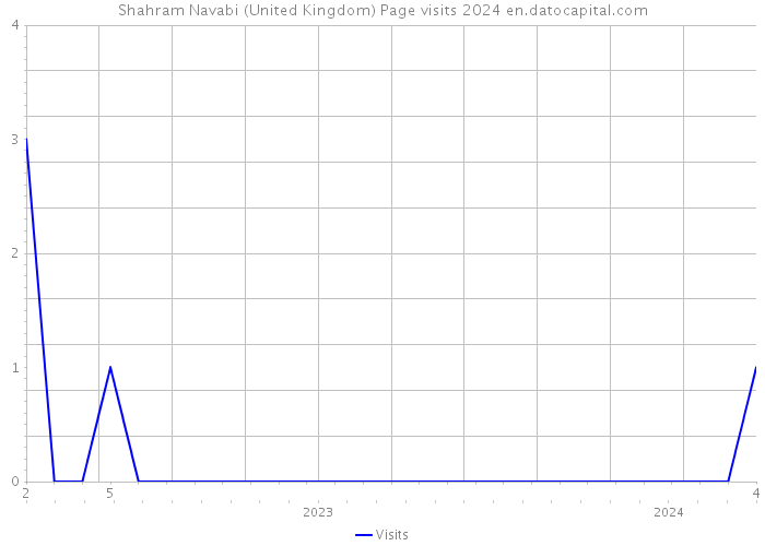 Shahram Navabi (United Kingdom) Page visits 2024 