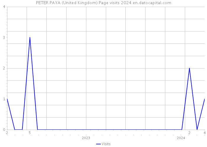 PETER PAYA (United Kingdom) Page visits 2024 
