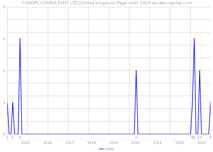 CONOPL CONSULTANT LTD (United Kingdom) Page visits 2024 