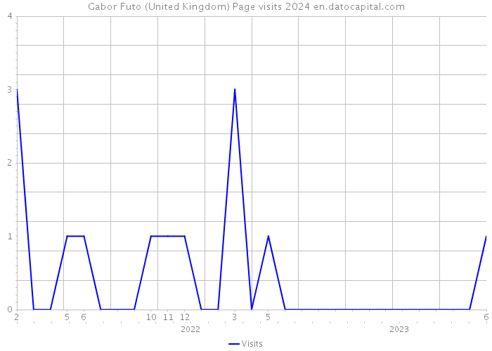 Gabor Futo (United Kingdom) Page visits 2024 