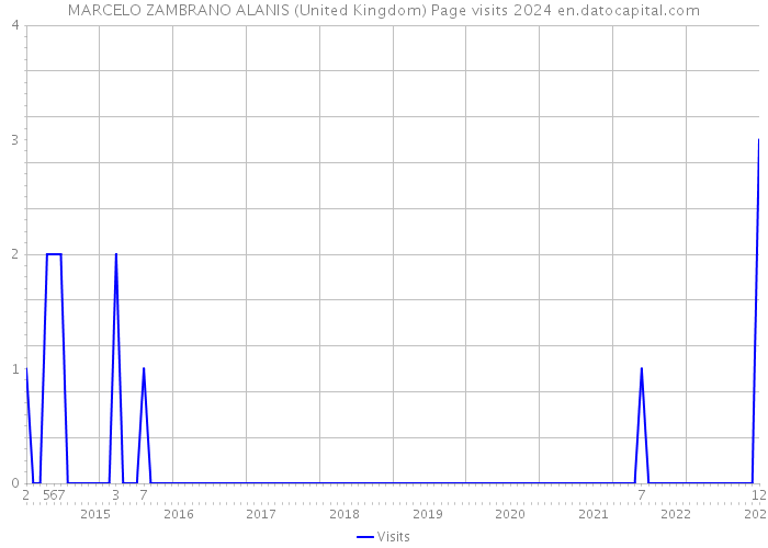 MARCELO ZAMBRANO ALANIS (United Kingdom) Page visits 2024 