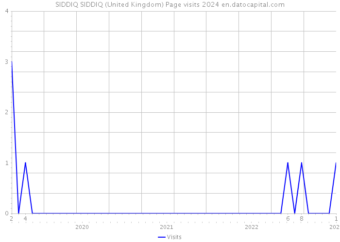 SIDDIQ SIDDIQ (United Kingdom) Page visits 2024 
