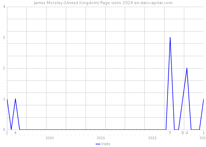 James Morsley (United Kingdom) Page visits 2024 