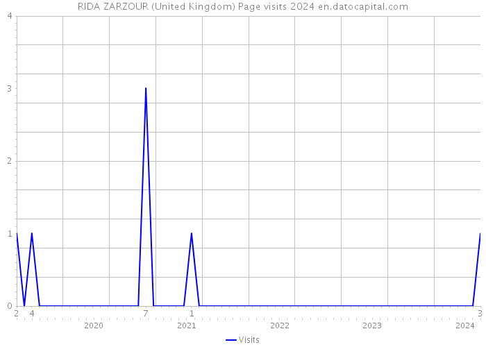RIDA ZARZOUR (United Kingdom) Page visits 2024 