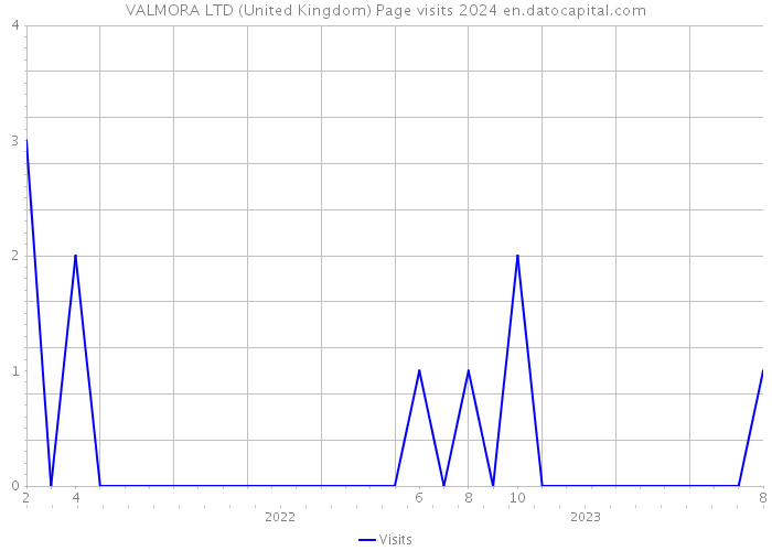 VALMORA LTD (United Kingdom) Page visits 2024 