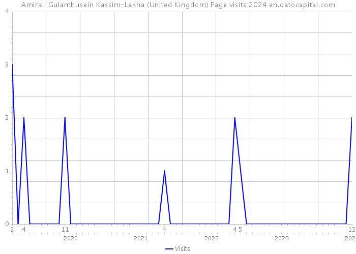 Amirali Gulamhusein Kassim-Lakha (United Kingdom) Page visits 2024 